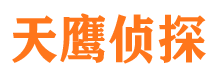 铁东侦探公司